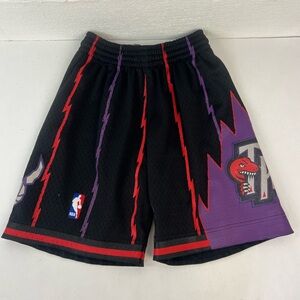 Hardwood Classic Vintage Toronto Raptors Shorts, Medium